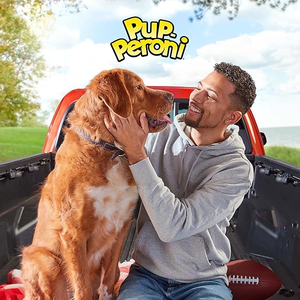 PUP-PERONI DOG TREATS, ORIGINAL BEEF FLAVOR, 38 OUNCE, MADE WITH REAL BEEF