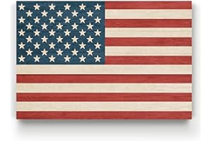 Renditions Gallery Canvas Military Wall Art Modern Paintings & Prints Decor Vintage American Flag Rustic Patriotic Honor Wall Hanging Artwork for Bedroom Office Kitchen - 16"x20" LT25