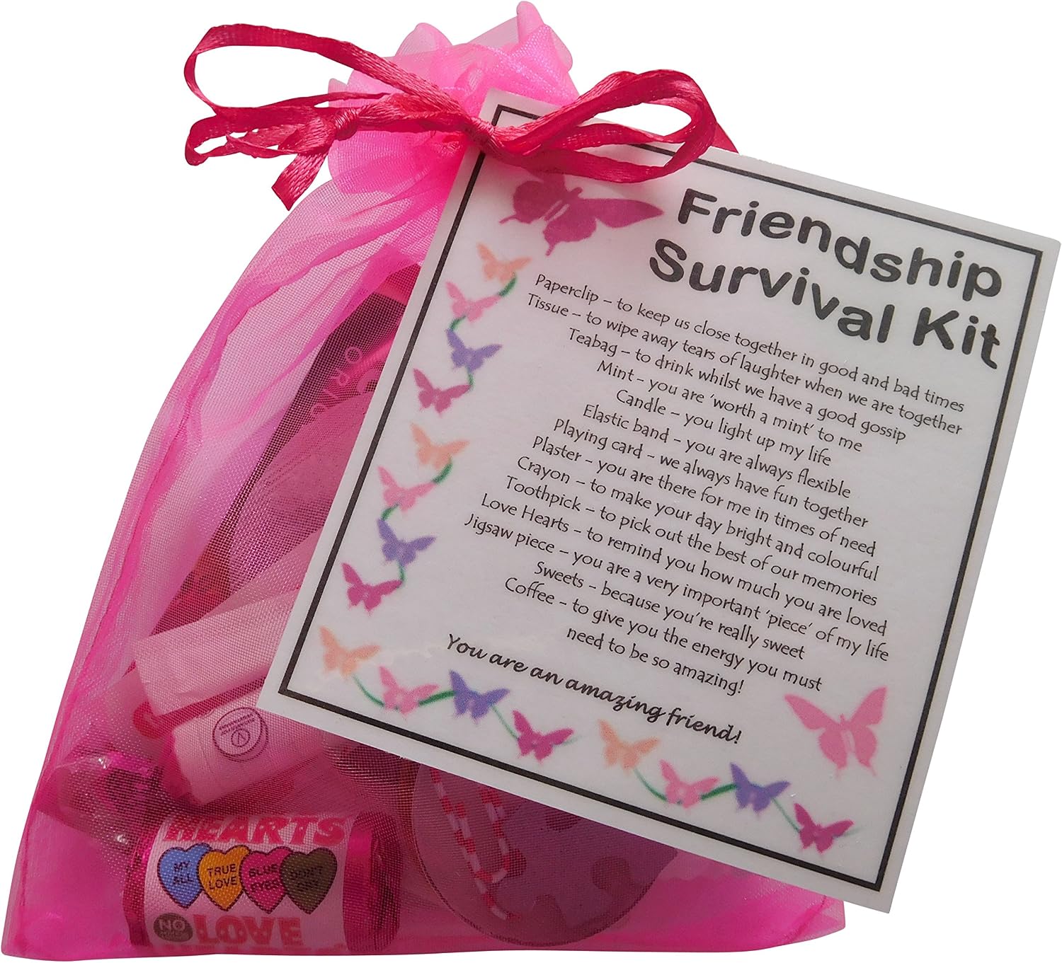 SMILE GIFTS UK Friendship Survival Kit - Novelty Gift for a Friend, Pink, 12cm x 18cm