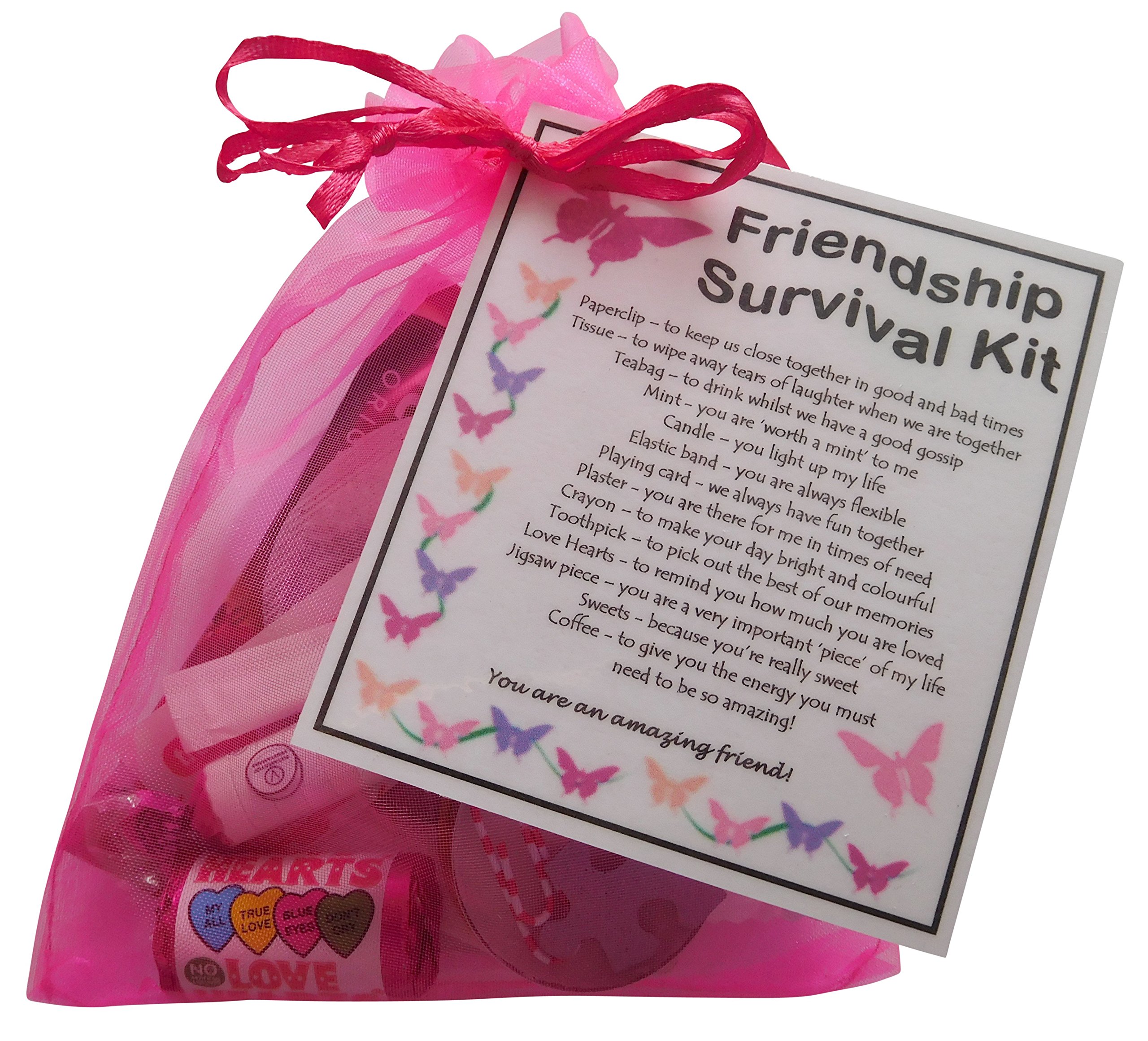 SMILE GIFTS UK Friendship Survival Kit - Novelty Gift for a Friend