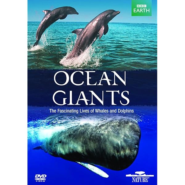 その他 Ocean Odyssey [DVD] Amazon.com: Ocean Odyssey [DVD] : Movies & TV