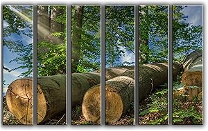 X-Large 6 Piece Tree Trunks in Spring Wall Art Decor Picture Painting Poster Print on Canvas Panels Pieces - Nature Theme Wall Decoration Set - Relaxing and Resting Wall Picture for Living Room