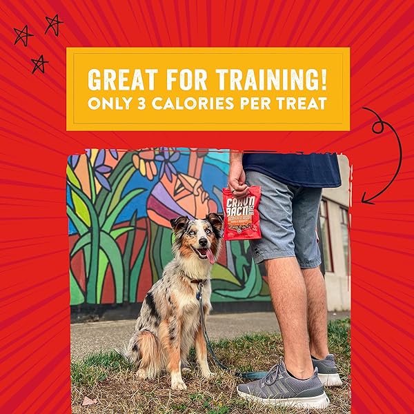STELLA & CHEWY’S TRAINING DOG TREATS – CRAV’N BAC’N SOFT BACON & CHICKEN BITES – PREMIUM USA MADE – LOW CALORIE REWARDS – 8.25OZ
