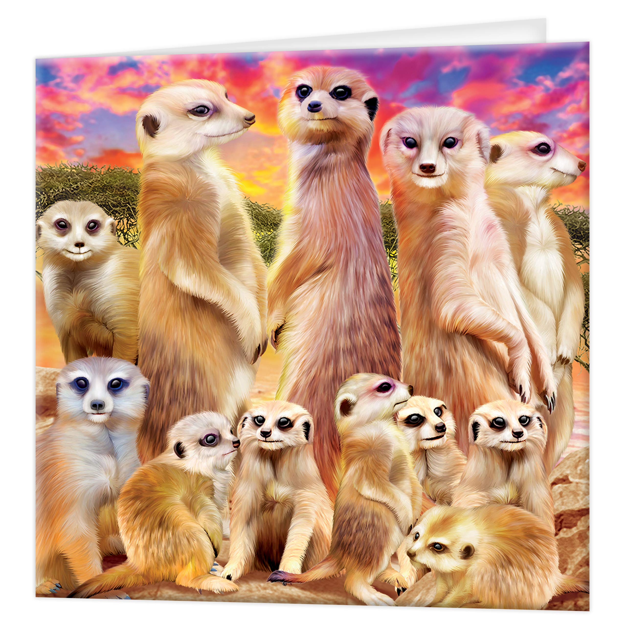 3D LiveLife Greeting Card - Cool Meerkats from Deluxebase. Lenticular 3D Blank Greeting Cards with Envelopes. Meerkat All Occasion Greeting Cards featuring Original Artwork by Michael Searle.