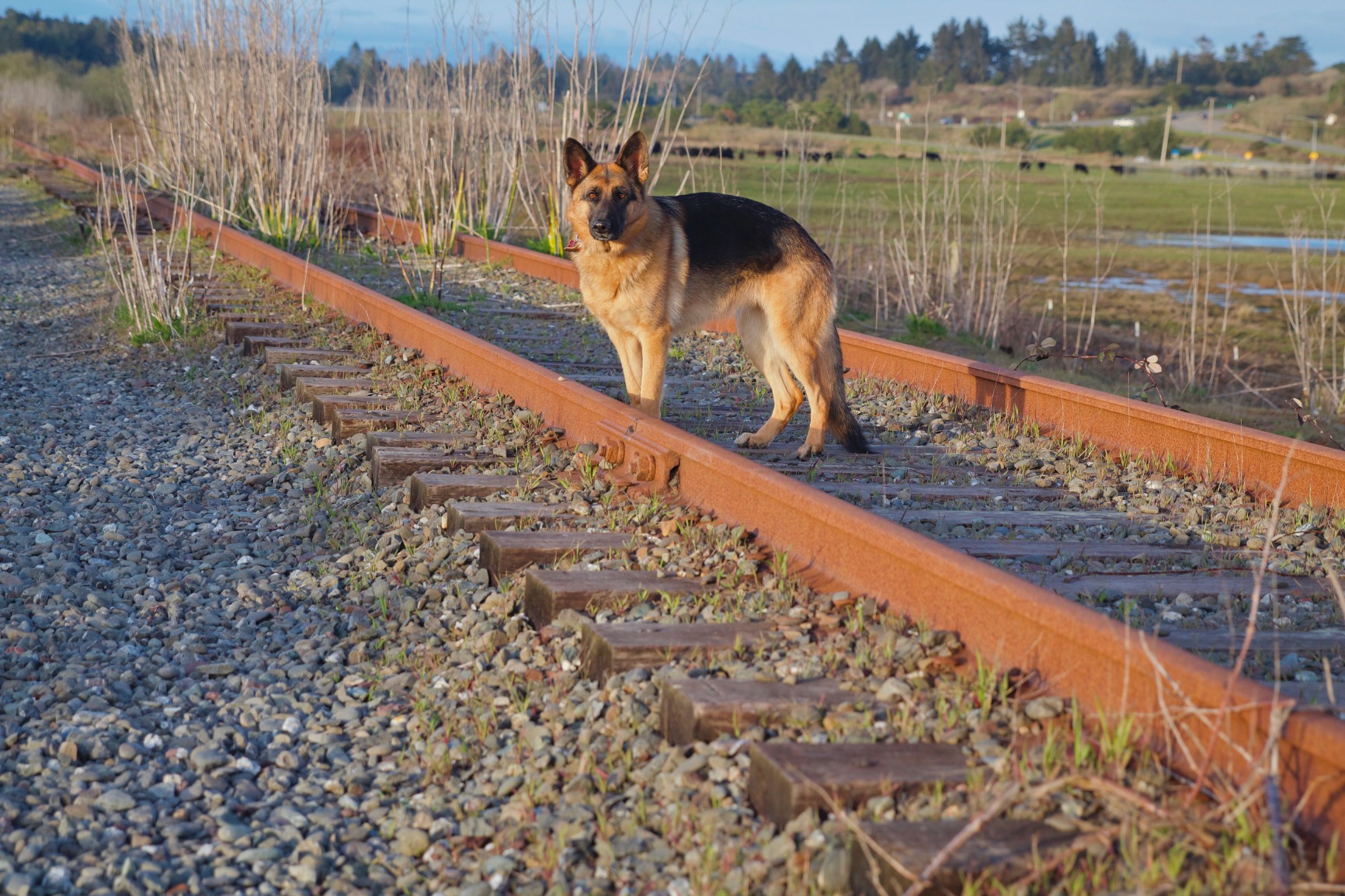~ Ik moest eerst op YouTube zoeken naar instructies.