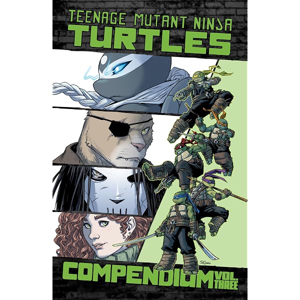 Teenage Mutant Ninja Turtles Volume 2: The Darkness Within