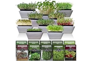 Microgreen Seeds Variety Pack – 10 Heirloom Types for Indoor Sprouting – Broccoli, Pea, Sunflower, Radish, Kale, Arugula & More – High Germination Non-GMO – Survival Garden Seeds (Seed Packs Only)