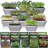 Survival Garden Seeds Microgreens 10 Pack