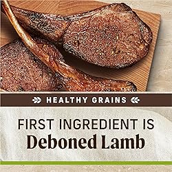 Merrick Healthy Grains Premium Adult Dry Dog