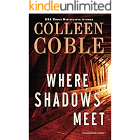 Where Shadows Meet: A Romantic Suspense Novel book cover