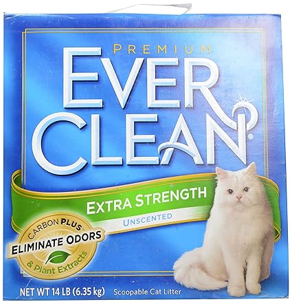 everclean cat litter