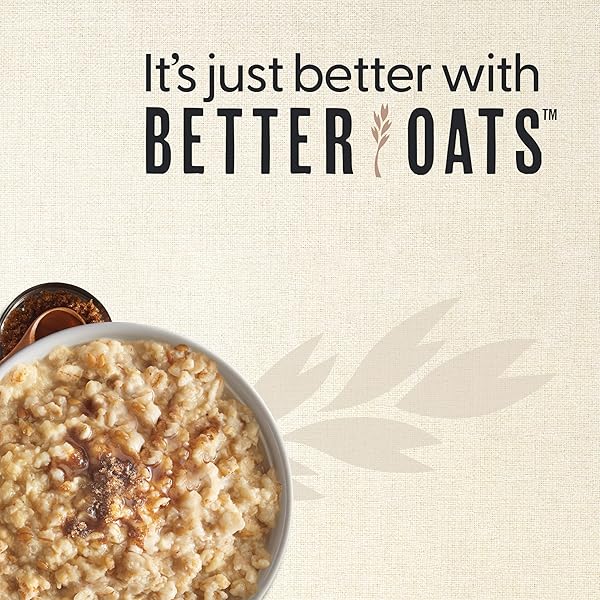 BETTER OATS FIT INSTANT, APPLE CINNAMON, 9.8 OUNCE
