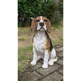 Hi- Line Resin Gift 87763-B Beagle Sitting Dog Statue