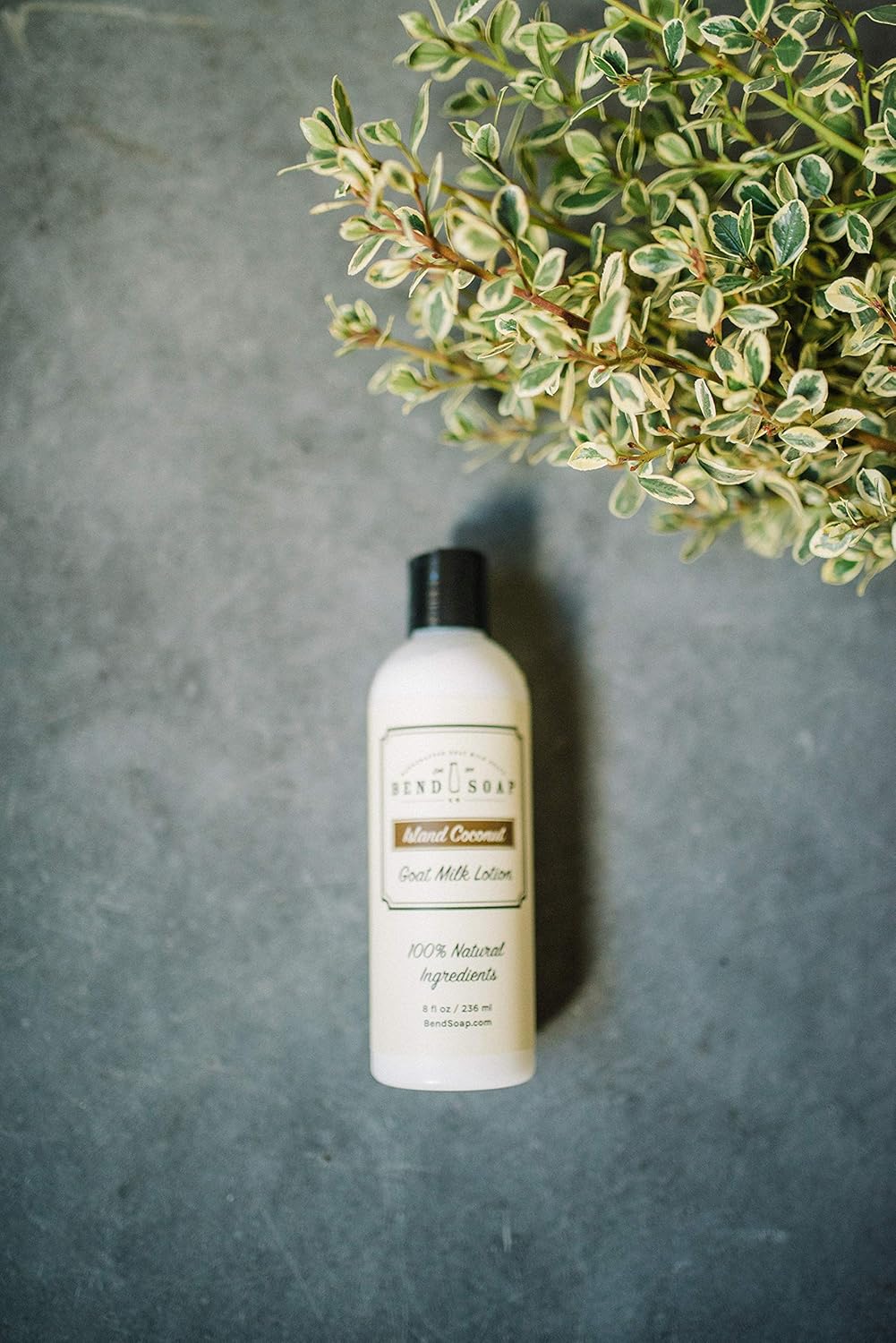 bend soap goat milk lotion