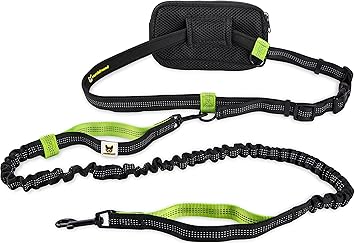 Joggingleine für kleine Hunde bis 15 kg | Elastische Reflektierende Hundeleine von 110 bis 160 cm dehnbar | Leine zum Joggen 