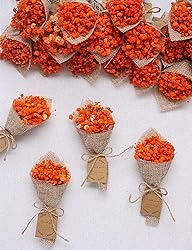 20-Piece Set Mini Magnet Dried Flowers Bouquet for
