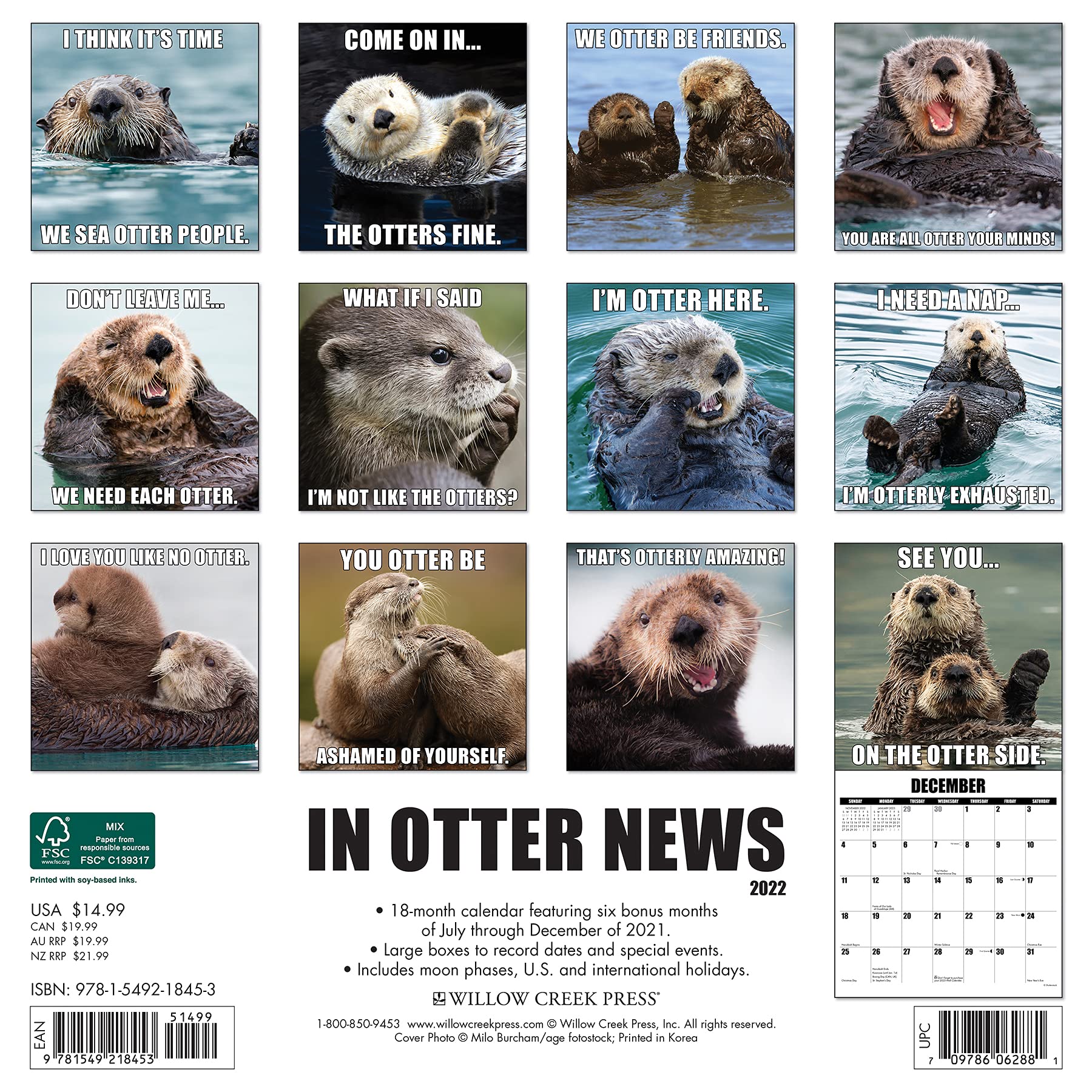 In Otter News 2022 Wall Calendar: Willow Creek Press: 9781549218453: Amazon.com: Books