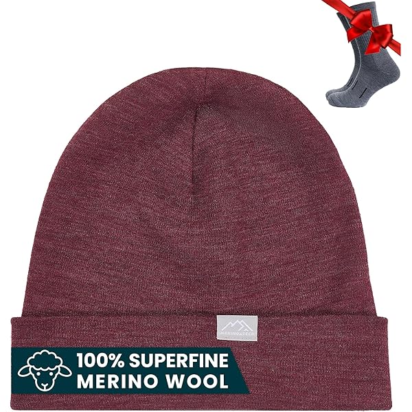 Smartwool Lid Logo Beanie - Double Layer Knit, Merino Wool Blend, One Size Fits Most (Laguna Blue) - View #11