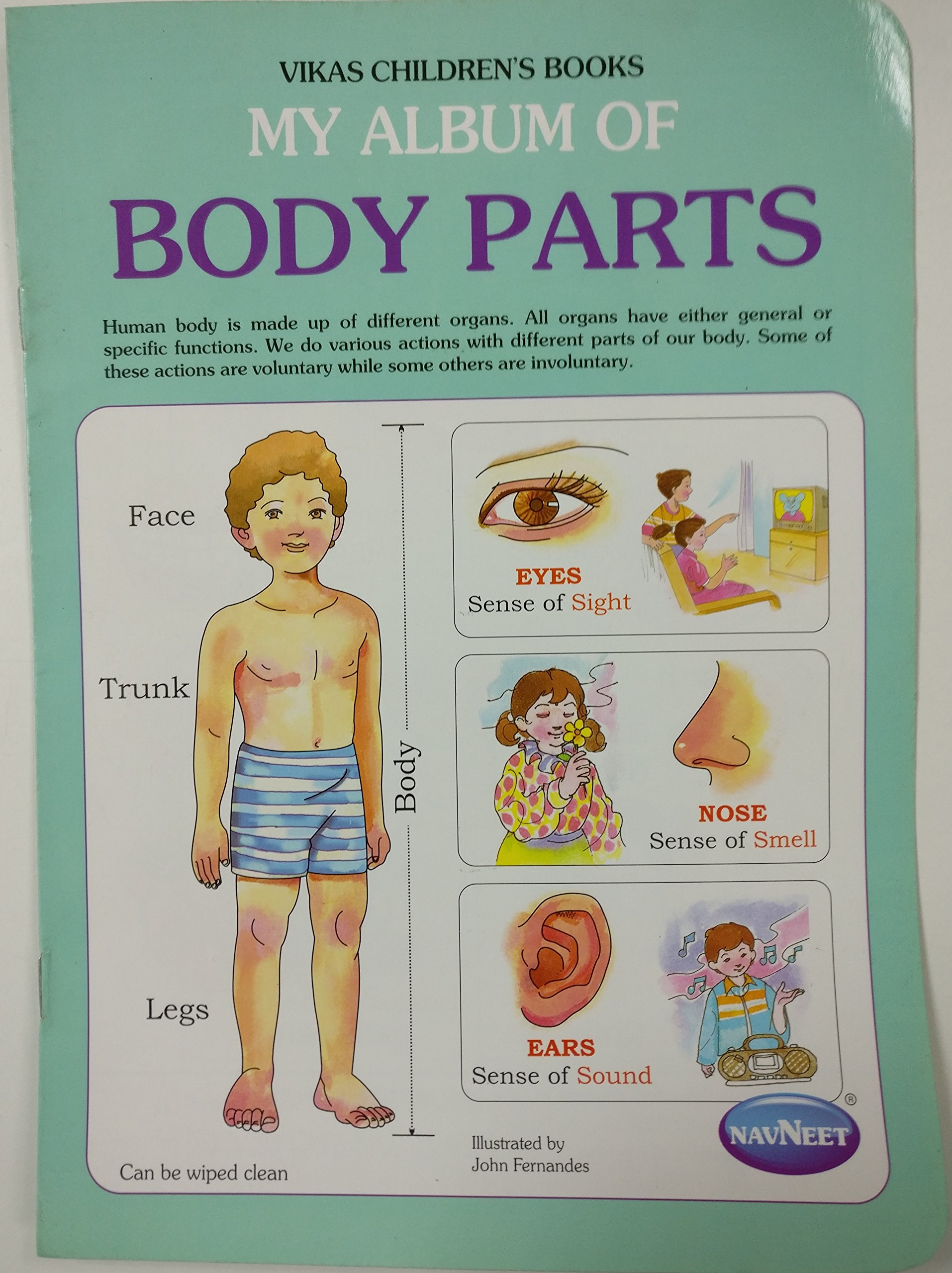 Buy My Album Of Body Parts Book Online At Low Prices In India My Album Of Body Parts Reviews Ratings Amazon In