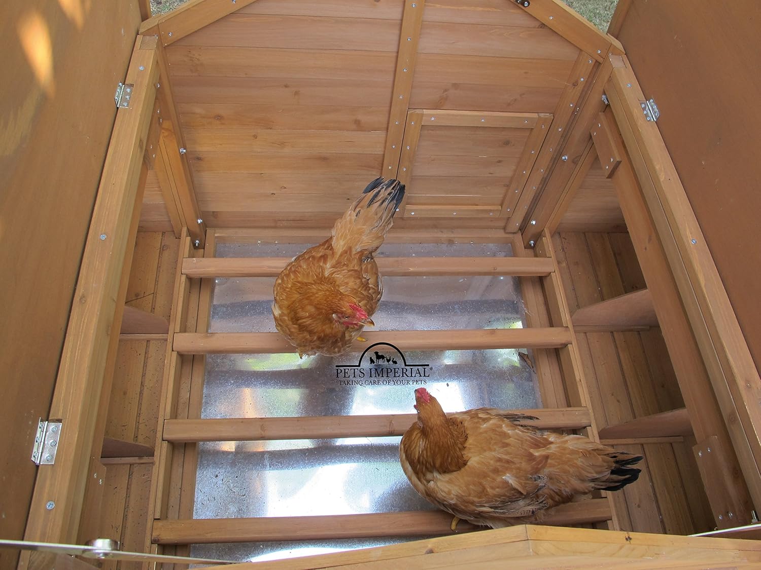 Huhnerhaus Savoy Huhnerhaltung Und Ausstattung