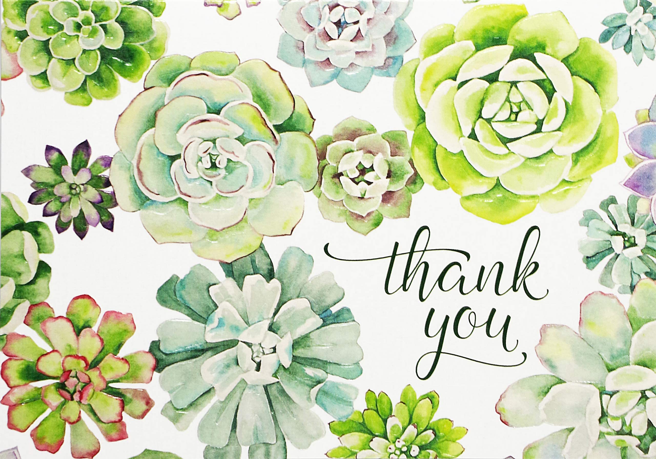 Succulent Garden Thank You Notes Stationery Note Cards Boxed Cards Peter Pauper Press 9781441332363 Amazon Com Books