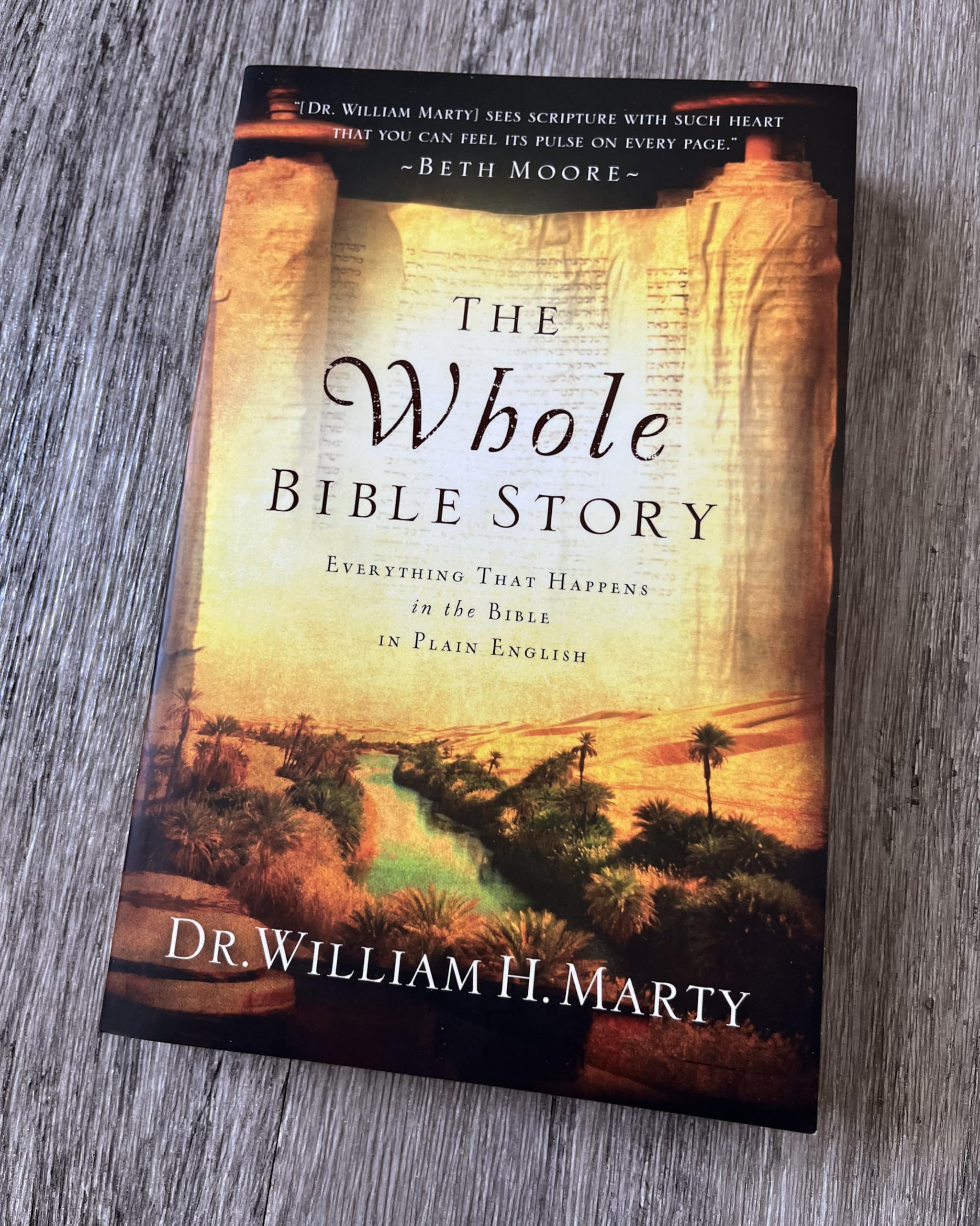 The Whole Bible Story: Everything That Happens in the Bible in Plain English (A Chronological Recap for Understanding the Bible―Stories of the Bible and Bible Study for Adults)