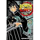 Demon Slayer: Kimetsu no Yaiba, Vol. 12: The Upper Ranks Gather