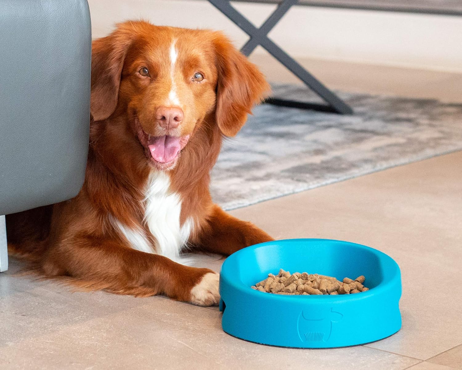 antimicrobial dog water bowl