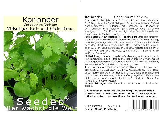 Seedeo® Thai Koriander (Coriandrum Sativum) 50 Samen Bio