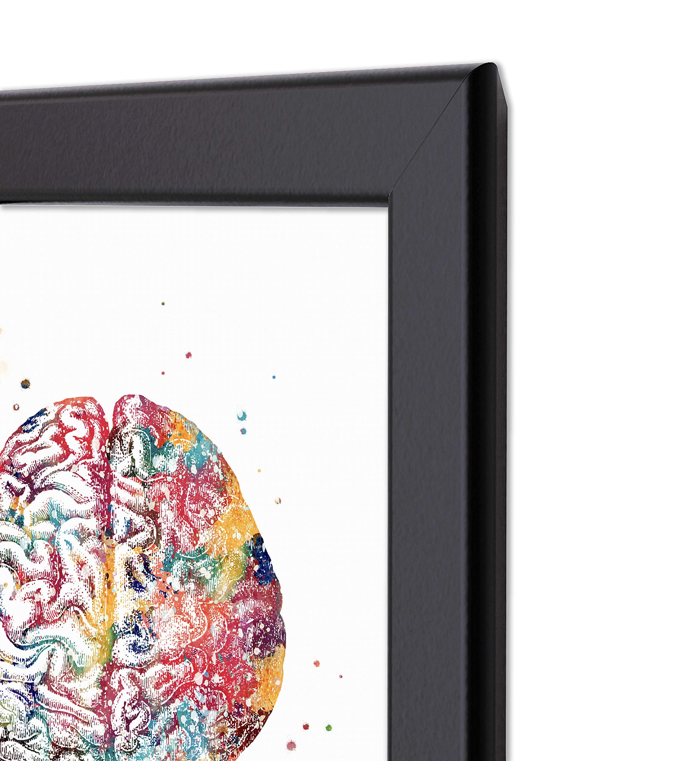 Mua Human Anatomy Watercolor Art 8x10 Unframed Print Set Brain Skull ...
