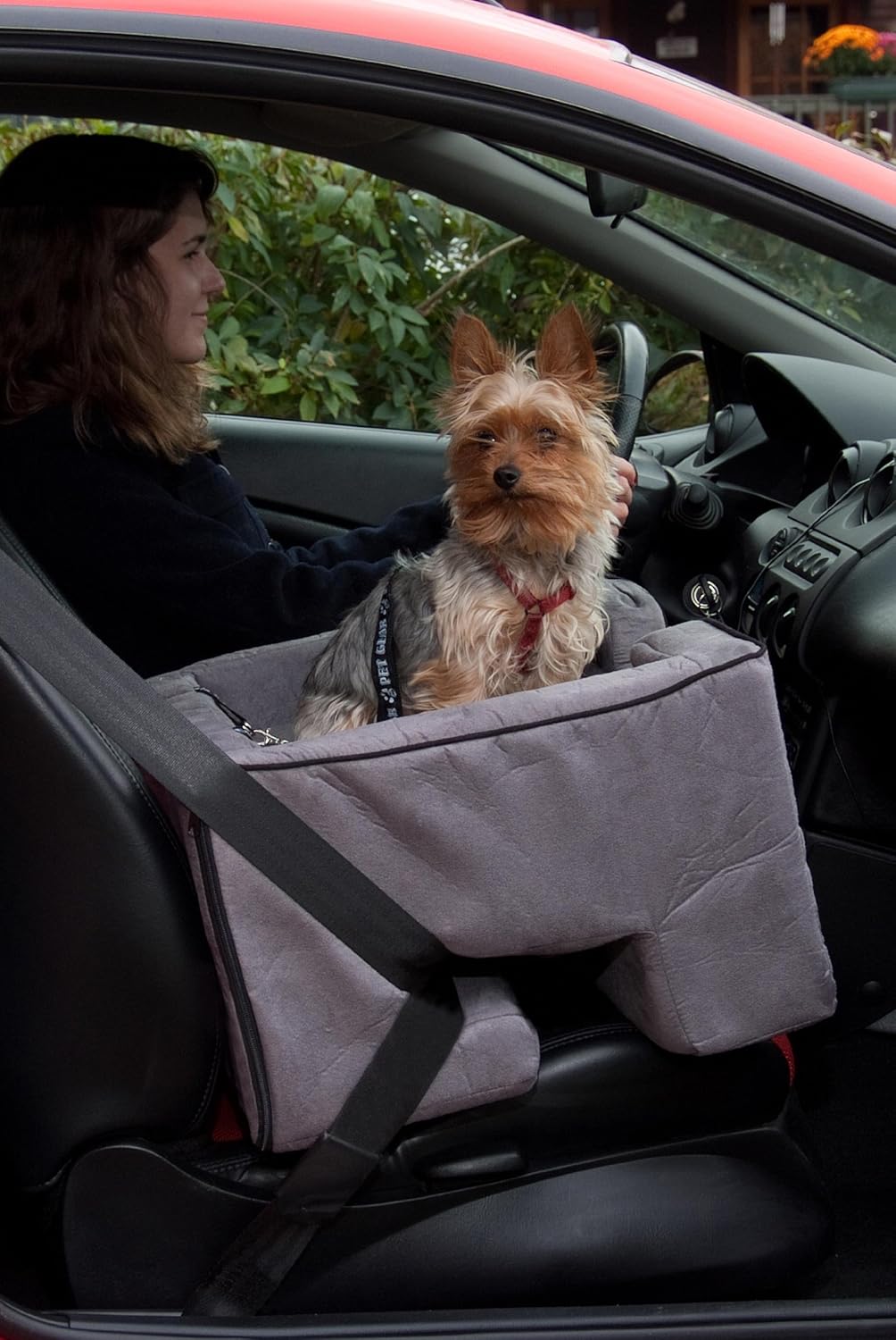 Pet Gear Lookout Booster Car Seat, Removable Comfort Pillow, Safety Tether Included, Installs in Seconds, No Tools Required, 2 Sizes, 3 Colors : Pet Care Products : Pet Supplies