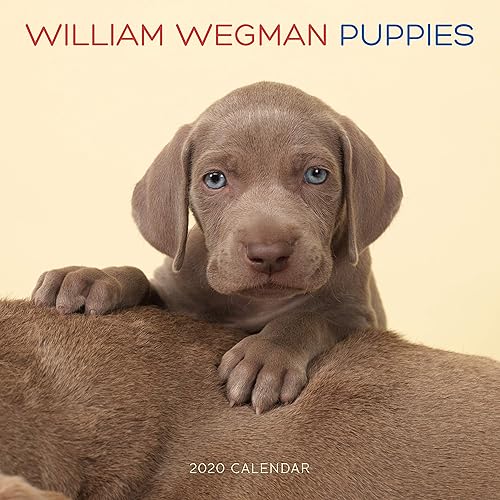 Download William Wegman Puppies 2020 Calendar PDF