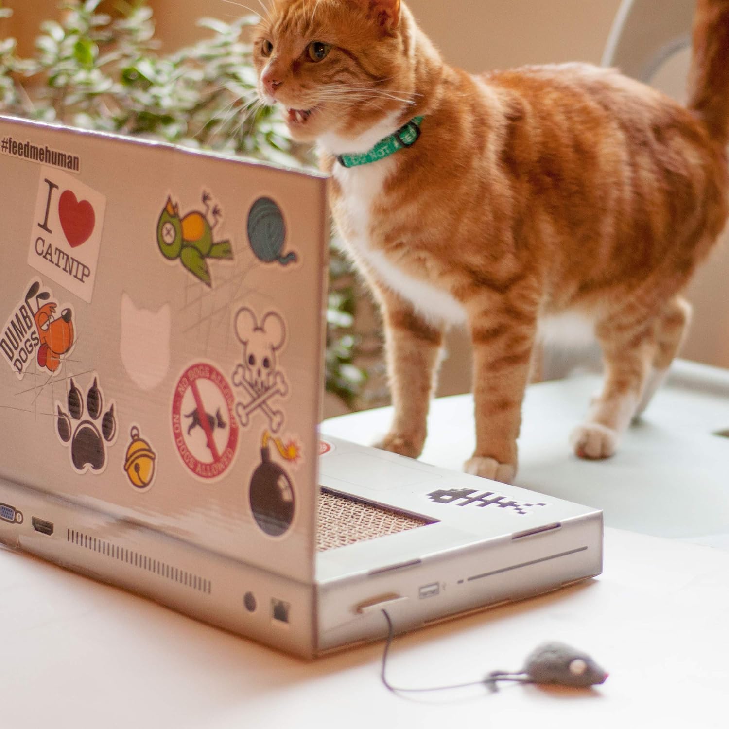 Suck UK, Laptop Scratcher - Image 5