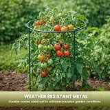 Garden Mile 8Pcs Heavy Duty Large Circular Plant Support Frame Adjustable Rings view 4