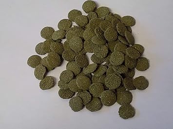 Koidivision Spirulina Algae Wafer Tablet 100gram 5kg Large 12mm