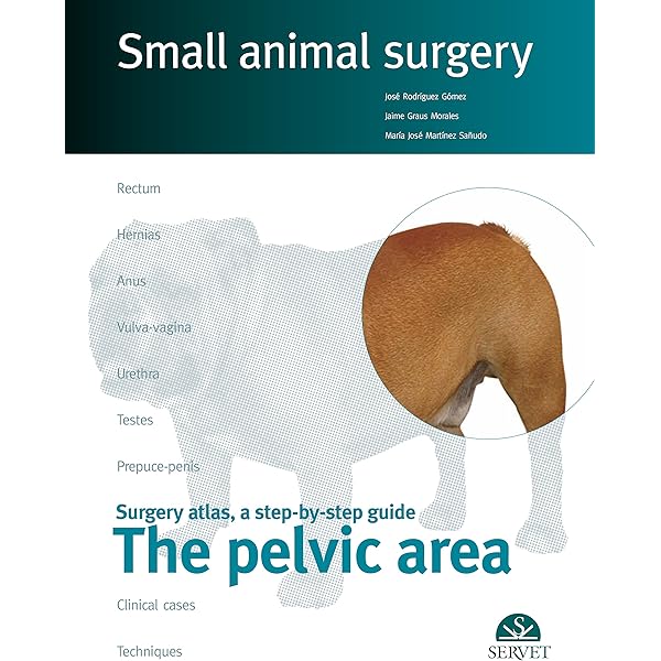 Small animal surgery 上下 Small Animal Surgery: 9780323443449: Medicine & Health