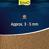 Tetra Goldfish Fish Food Sticks 93 g Complete Food for Medium to Large Goldfish view 6