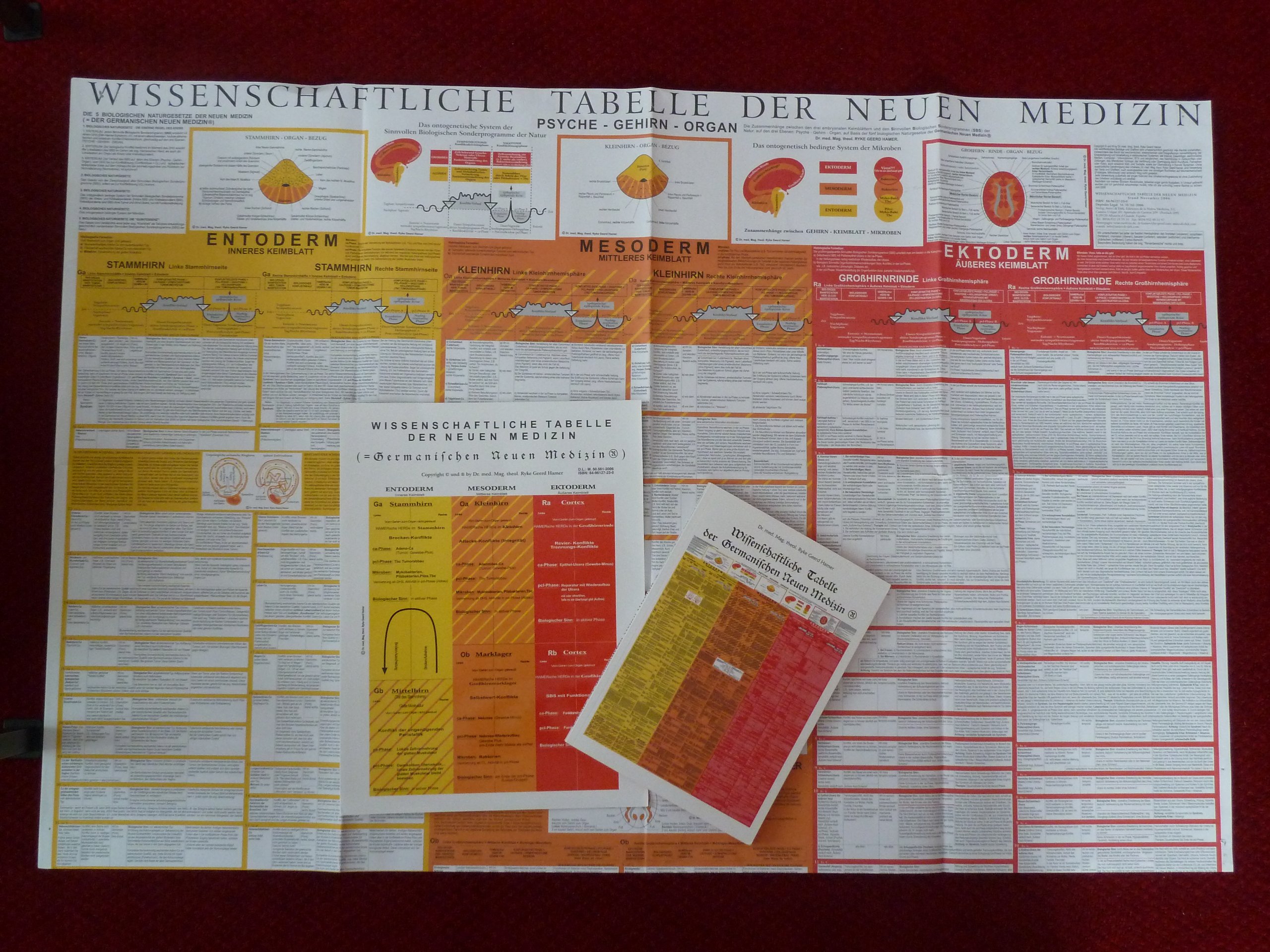 Wissenschaftliche Tabelle Der Germanischen Neuen Medizin Dr Hamer