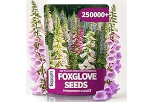 EQUSYM Foxglove Seeds 250,000+ Bulk Pack - Tall Spire Blooms, Mixed Colors for Garden Borders, Easy Planting for Home Gardening - Ideal for Backyard Flower Beds, Landscaping, and Pollinator-Friendly Gardens