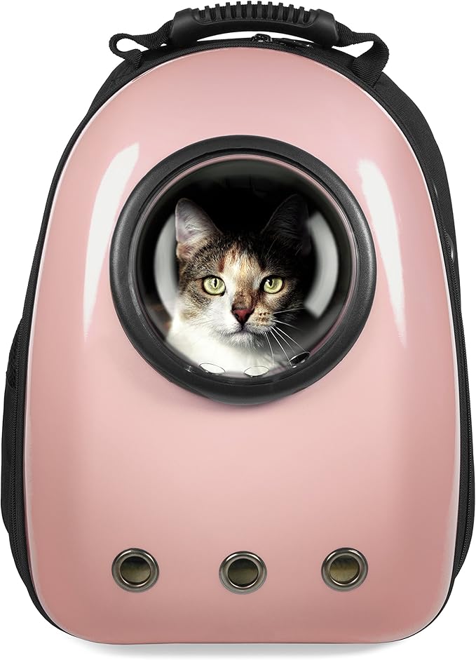 space bubble cat carrier