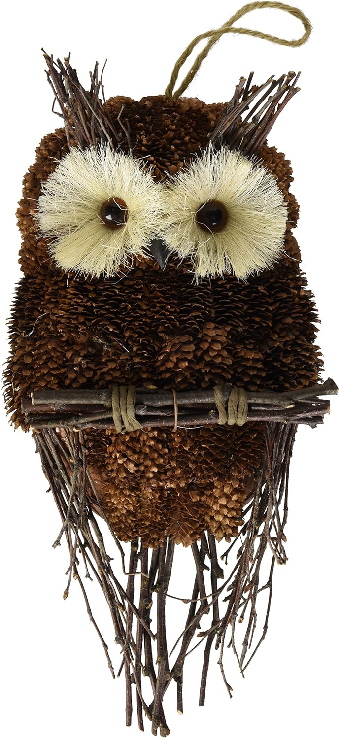 Amazon Com Green Pastures Wholesale 15 Owl Home Kitchen