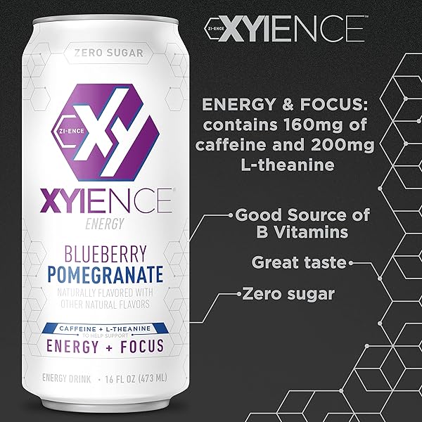 XYIENCE BLUEBERRY POMEGRANATE ENERGY DRINK, 16 FL OZ CAN (PACK OF 12)