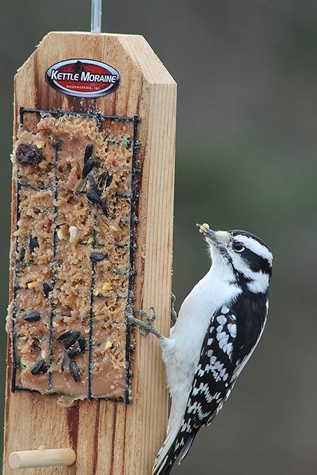 Amazon Com Kettle Moraine Peanut Butter Bird Feeder With Perch