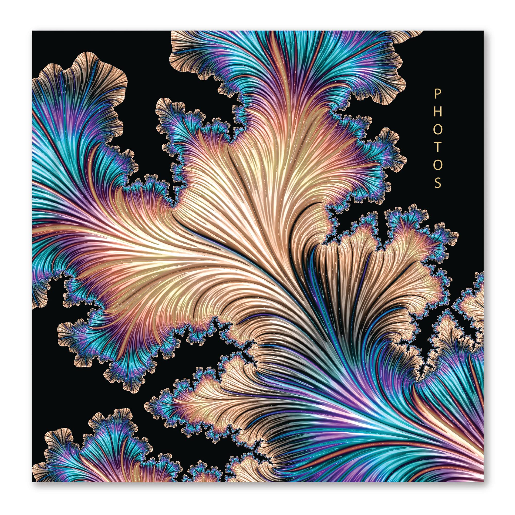 Karrma Ltd. 200 Pocket Slip-In Photo Album for 6 x 4 in (15 x 10 cm) Photos, Memo Write-In Space, Padded Stiff-Back Cover, Black with Gold Flourish