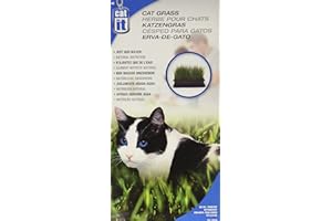 Catit Cat Grass, 2.6-Ounce