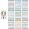 10 Pack - Exercise Workout Poster Set - Dumbbell, Suspension, Kettlebell, Resistance Bands, Stretching, Bodyweight, Barbell, Yoga Poses, Exercise Ball, Muscular System (PAPER, NON LAMINATED,18" x 27")