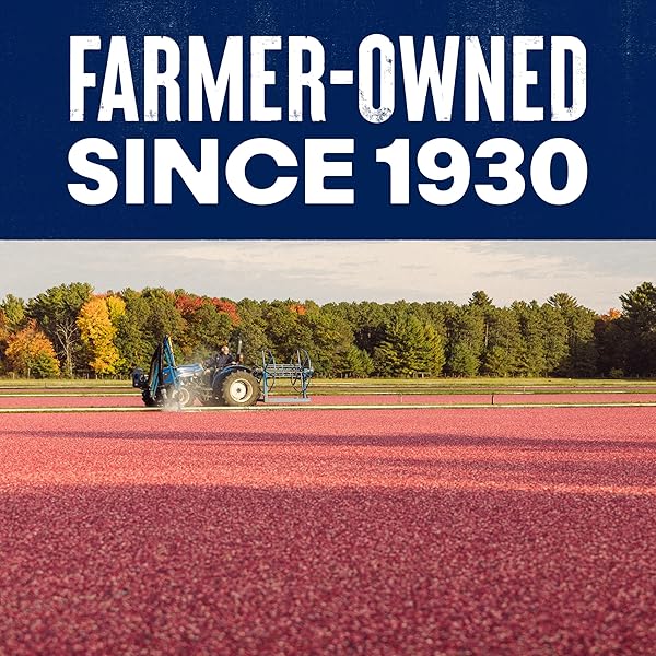 OCEAN SPRAY® CRAISINS®, 50% LESS SUGAR DRIED CRANBERRIES, DRIED FRUIT, 5 OZ POUCH (PACK OF 1)