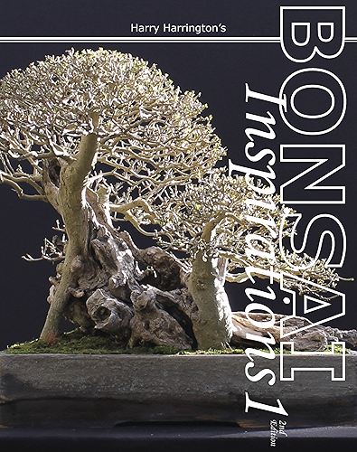 Download Harry Harrington's Bonsai Inspirations 1 (English Edition) PDF