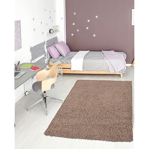 Ottomanson SHG2769-3X5 Solid Shag Rug, 3'3" x 4'7", Beige