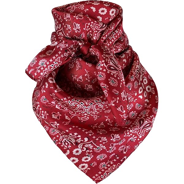 Foulard 100% Soie Wyoming Traders – Wild Rag Southwest Argent – 34,5 Pouces